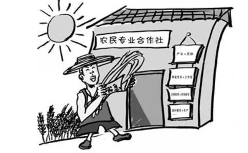農(nóng)民專(zhuān)業(yè)合作社屬于企業(yè)法人嗎？農(nóng)民專(zhuān)業(yè)合作社的概念