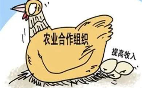 農(nóng)民專(zhuān)業(yè)合作社的概念