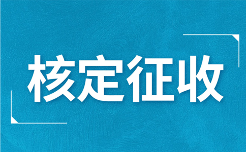 江西大額個(gè)體戶核定征收標(biāo)準(zhǔn)，2024年最新政策